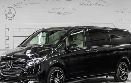 Mercedes-Benz V-Класс, 2024 год, 17 500 000 рублей, 1 фотография