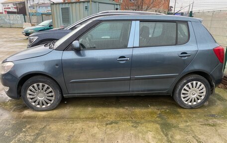 Skoda Fabia II, 2010 год, 315 000 рублей, 3 фотография