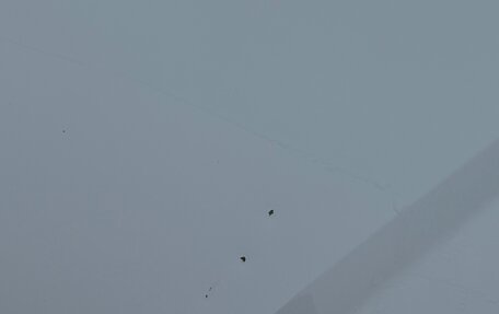 Volkswagen Polo VI (EU Market), 2016 год, 1 015 000 рублей, 25 фотография