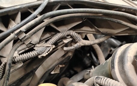 Ford Focus III, 2019 год, 1 550 000 рублей, 22 фотография