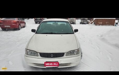 Toyota Corolla, 1998 год, 300 000 рублей, 2 фотография