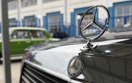 Mercedes-Benz S-Класс, 1984 год, 2 500 000 рублей, 14 фотография