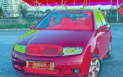 Skoda Fabia I, 2006 год, 300 000 рублей, 1 фотография