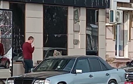 Mercedes-Benz E-Класс, 1994 год, 590 000 рублей, 2 фотография