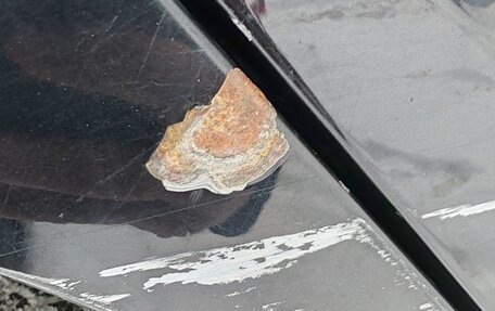 Volkswagen Polo VI (EU Market), 2014 год, 610 000 рублей, 12 фотография