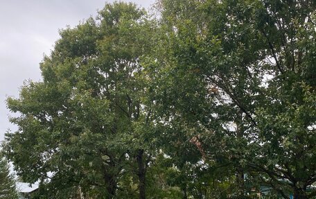 Volkswagen Transporter T4, 1991 год, 400 000 рублей, 6 фотография