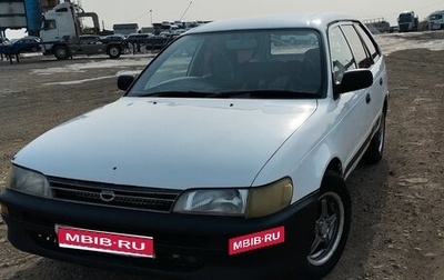 Toyota Corolla, 1998 год, 250 000 рублей, 1 фотография