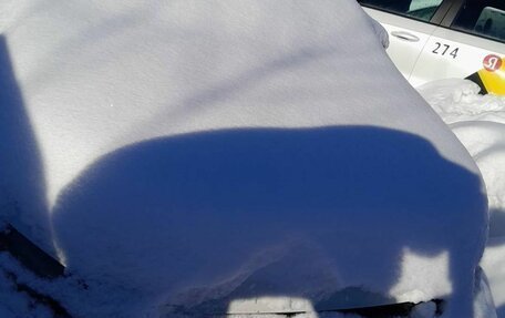 Volkswagen Polo VI (EU Market), 2019 год, 494 000 рублей, 1 фотография