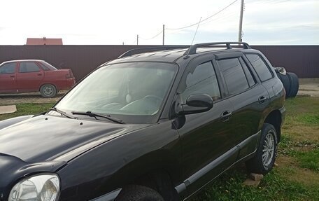 Hyundai Santa Fe III рестайлинг, 2003 год, 350 000 рублей, 2 фотография