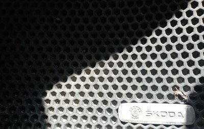 Skoda Roomster, 2009 год, 525 000 рублей, 1 фотография