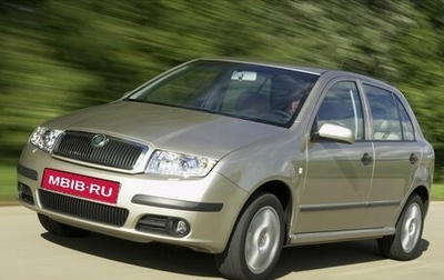 Skoda Fabia I, 2006 год, 160 000 рублей, 1 фотография