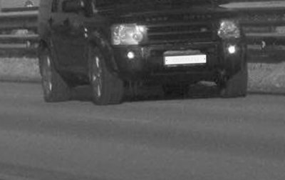 Land Rover Discovery III, 2008 год, 890 000 рублей, 1 фотография