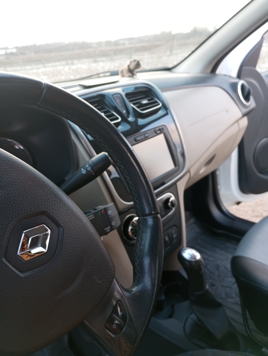 Renault Logan II, 2014 год, 560 000 рублей, 9 фотография