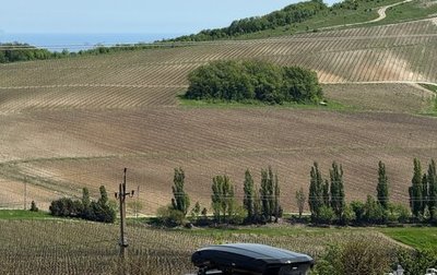 Volvo V90 Cross Country I рестайлинг, 2020 год, 4 900 000 рублей, 1 фотография