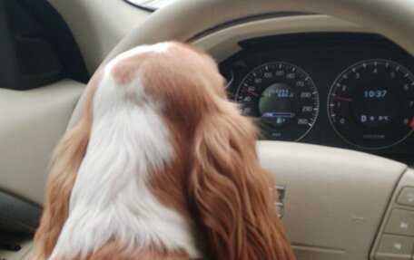 Volvo XC70 II рестайлинг, 2008 год, 1 300 000 рублей, 17 фотография