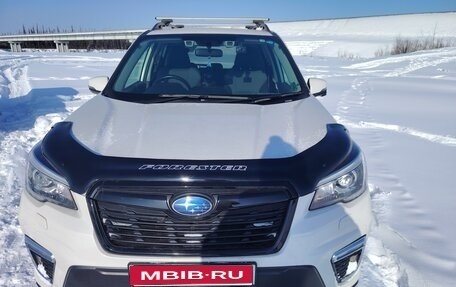 Subaru Forester, 2019 год, 3 350 000 рублей, 1 фотография