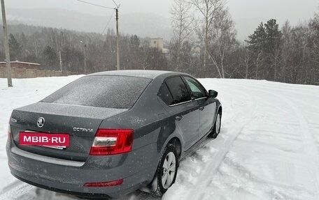 Skoda Octavia, 2016 год, 1 650 000 рублей, 5 фотография