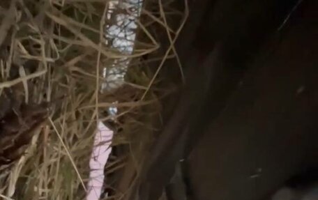 Honda Accord VII рестайлинг, 1995 год, 65 000 рублей, 7 фотография