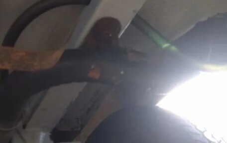 Москвич 2141, 1991 год, 320 000 рублей, 27 фотография