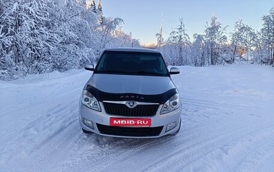 Skoda Fabia II, 2013 год, 420 000 рублей, 1 фотография