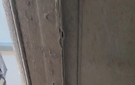 Nissan X-Trail, 2006 год, 790 000 рублей, 2 фотография