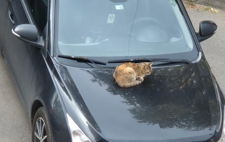 Chevrolet Cruze II, 2014 год, 800 000 рублей, 1 фотография