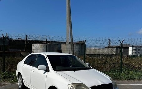 Toyota Corolla, 2003 год, 410 000 рублей, 1 фотография