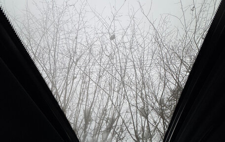 Infiniti Q50 I рестайлинг, 2018 год, 3 684 000 рублей, 21 фотография