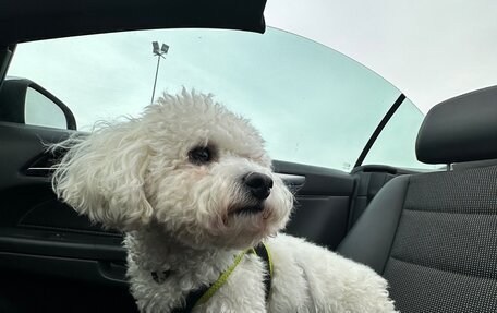 Opel Astra H, 2007 год, 1 250 000 рублей, 9 фотография