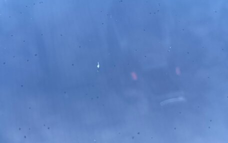 Skoda Karoq I, 2020 год, 2 500 000 рублей, 40 фотография