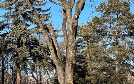 BMW Z4, 2020 год, 4 400 000 рублей, 11 фотография