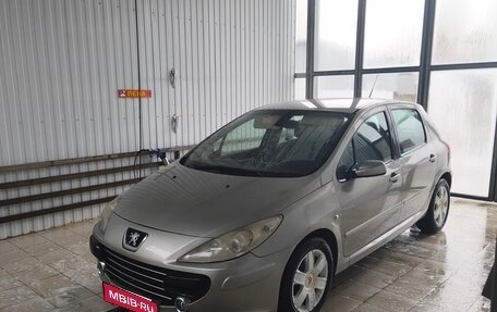 Peugeot 307 I, 2007 год, 380 000 рублей, 1 фотография