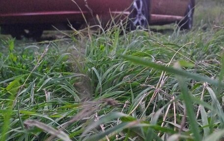 KIA Rio II, 2003 год, 185 000 рублей, 4 фотография