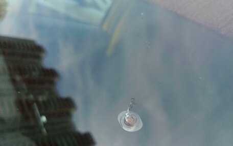 Ford Transit Connect, 2010 год, 650 000 рублей, 16 фотография