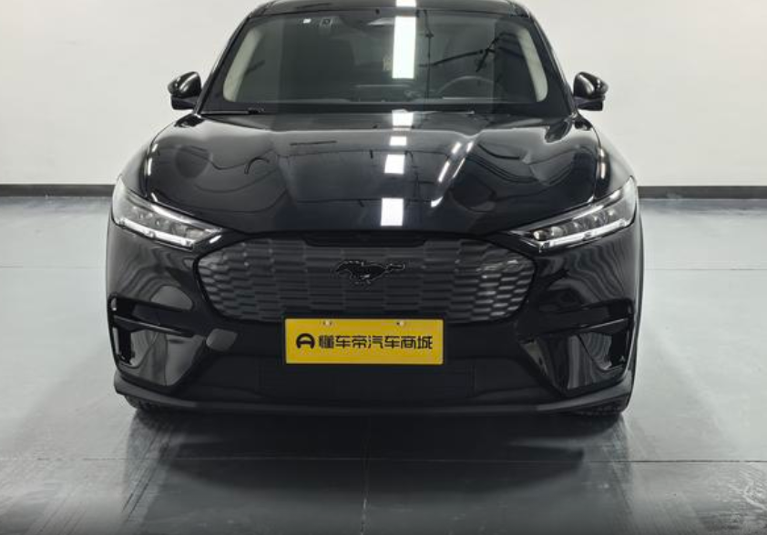 Ford Mustang Mach-E I, 2021 год, 4 580 000 рублей, 2 фотография