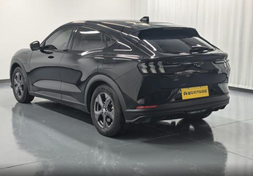 Ford Mustang Mach-E I, 2021 год, 4 580 000 рублей, 5 фотография