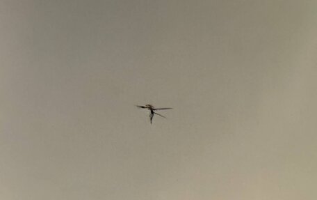 Hyundai Sonata VII, 2019 год, 1 500 000 рублей, 19 фотография