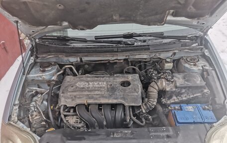 Toyota Corolla, 2005 год, 340 000 рублей, 18 фотография