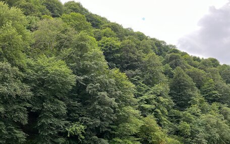 Honda Prelude IV, 1997 год, 1 000 000 рублей, 3 фотография