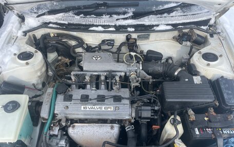 Toyota Corolla, 1991 год, 183 000 рублей, 6 фотография