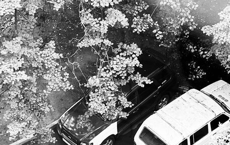 Subaru Forester, 2002 год, 900 000 рублей, 4 фотография