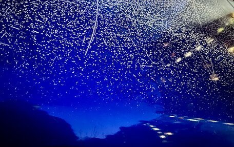 Subaru Forester, 2002 год, 900 000 рублей, 15 фотография