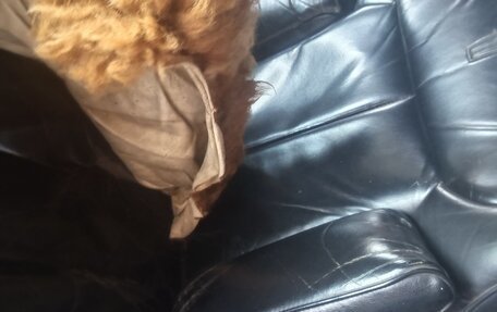 Lincoln Town Car II, 1993 год, 390 000 рублей, 11 фотография