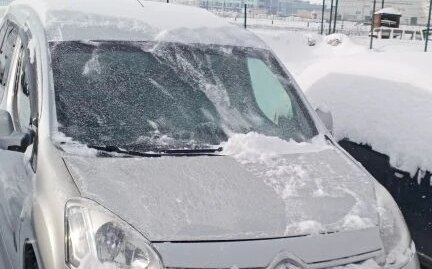 Citroen Berlingo II рестайлинг, 2013 год, 720 000 рублей, 1 фотография