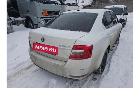 Skoda Octavia, 2019 год, 550 000 рублей, 8 фотография