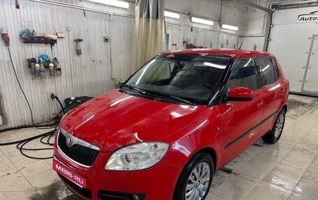Skoda Fabia II, 2009 год, 270 000 рублей, 8 фотография