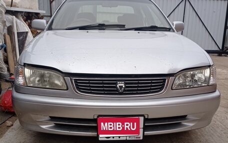 Toyota Corolla, 1997 год, 400 000 рублей, 1 фотография