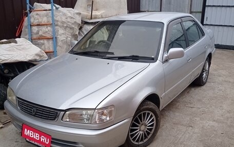 Toyota Corolla, 1997 год, 400 000 рублей, 4 фотография