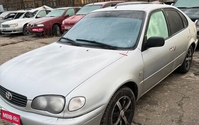 Toyota Corolla, 1999 год, 300 000 рублей, 1 фотография