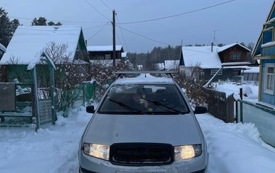 Skoda Fabia I, 2005 год, 700 000 рублей, 1 фотография